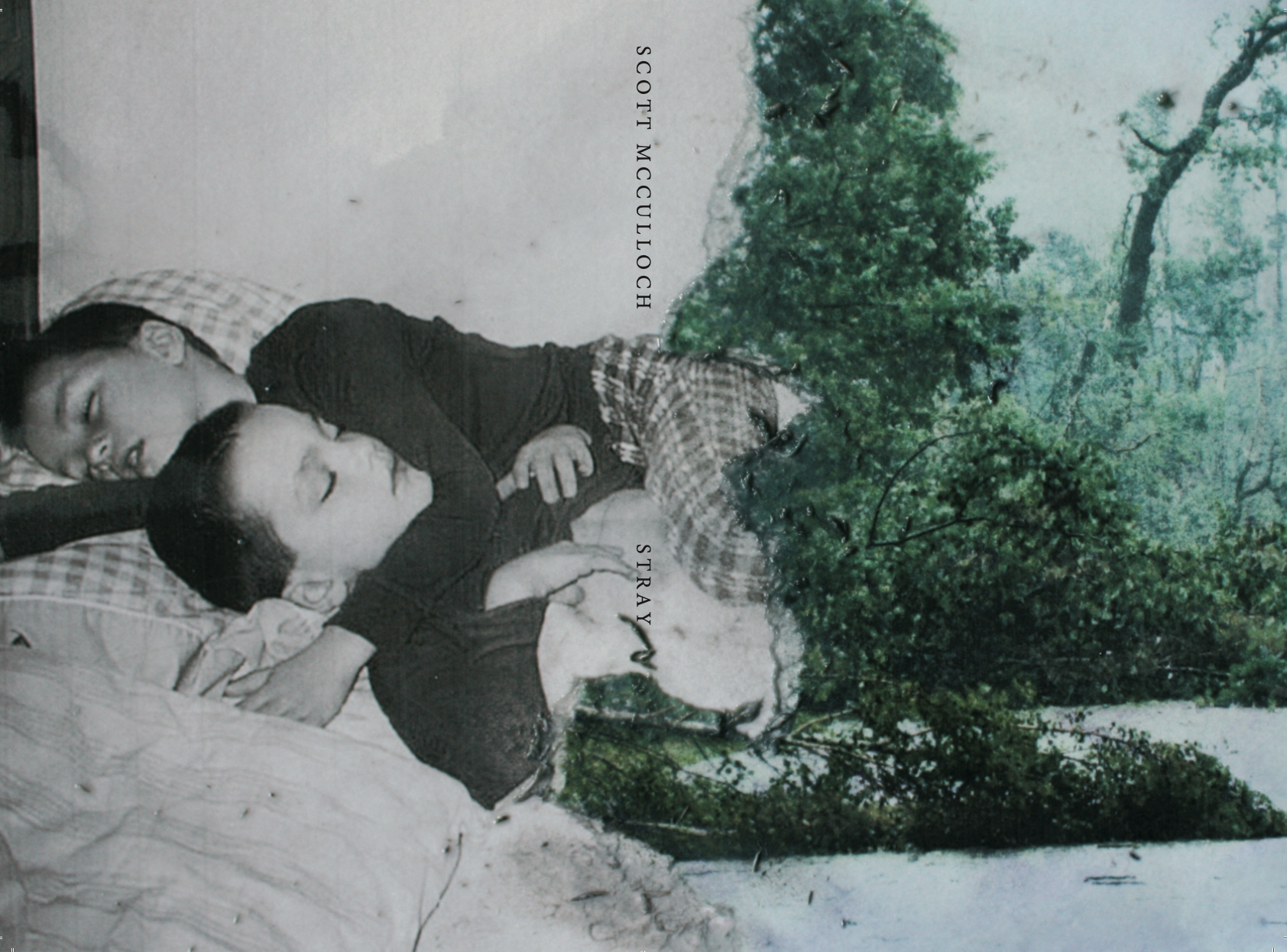  - booklaunch : Stray by Scott McCulloch